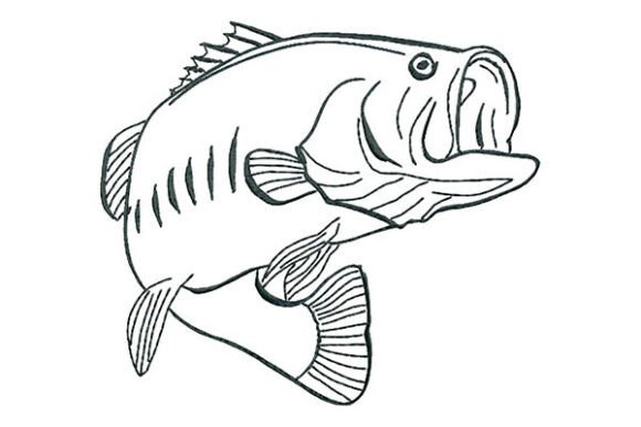 Reviewing Bass Fish Calligraphy Embroidery for Etsy
